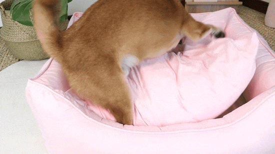 20.gif