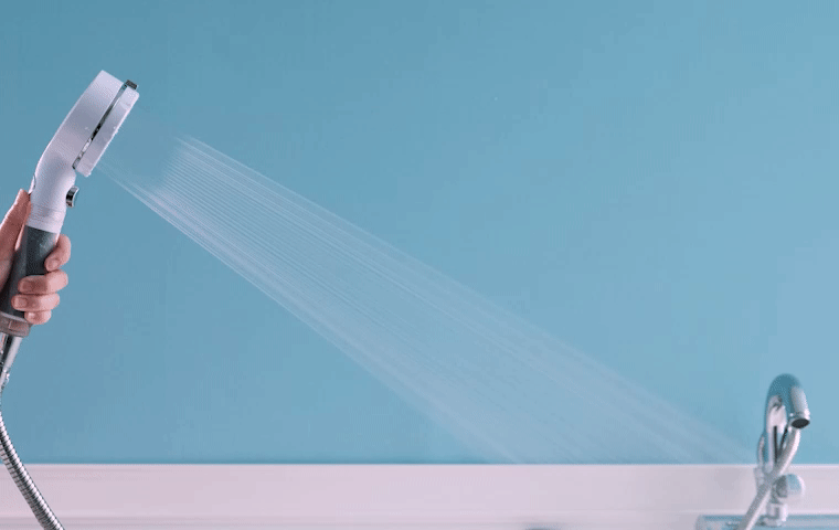 gif9.gif