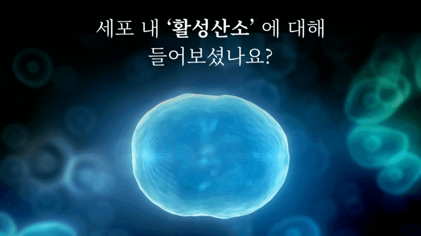 240403_1.gif