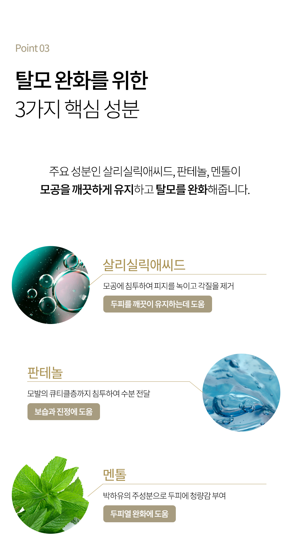 골든-비오틴-상세2_02.jpg