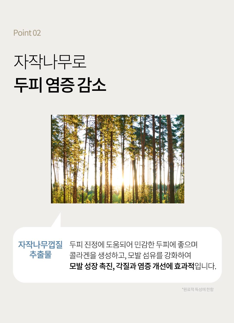 블루-자일리톨-상세_12.jpg