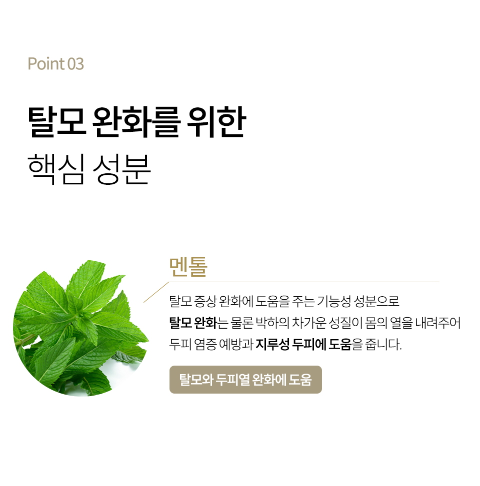 블루-자일리톨-상세_13.jpg