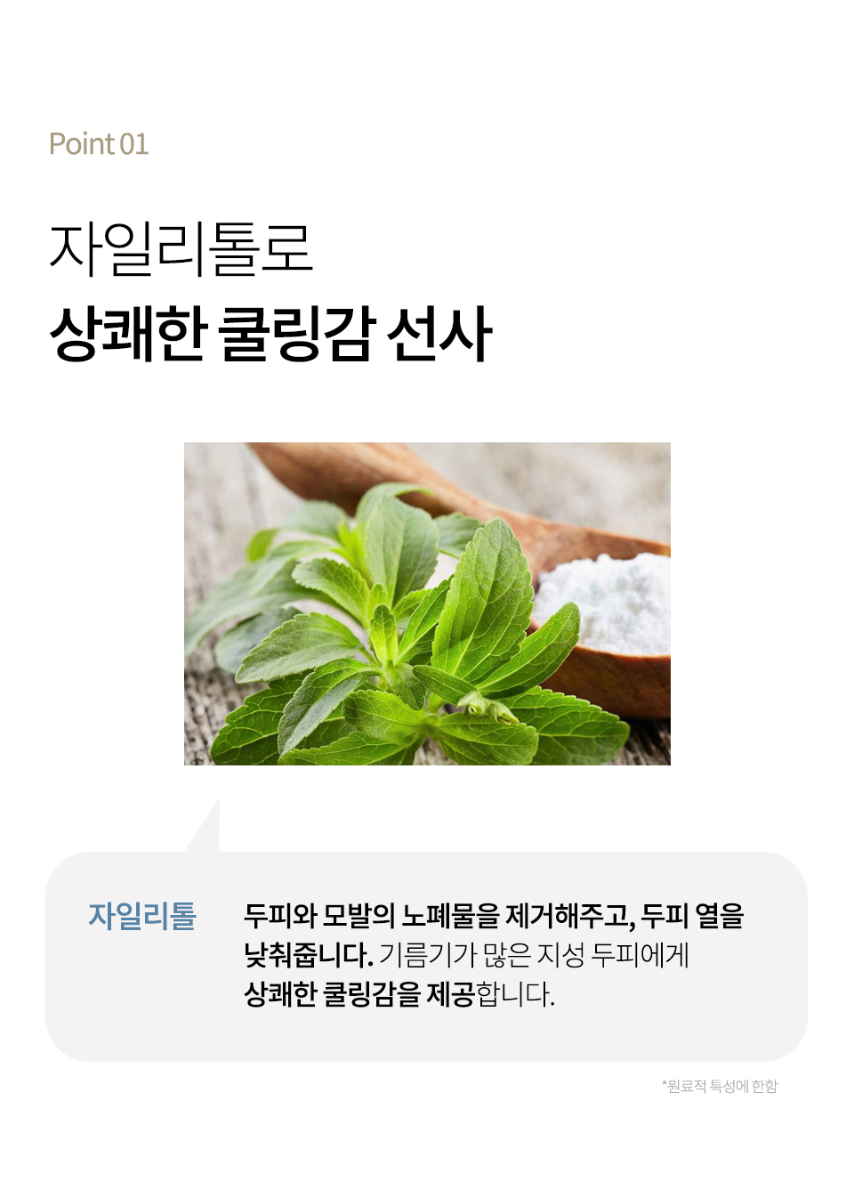 블루-자일리톨-상세_11.jpg