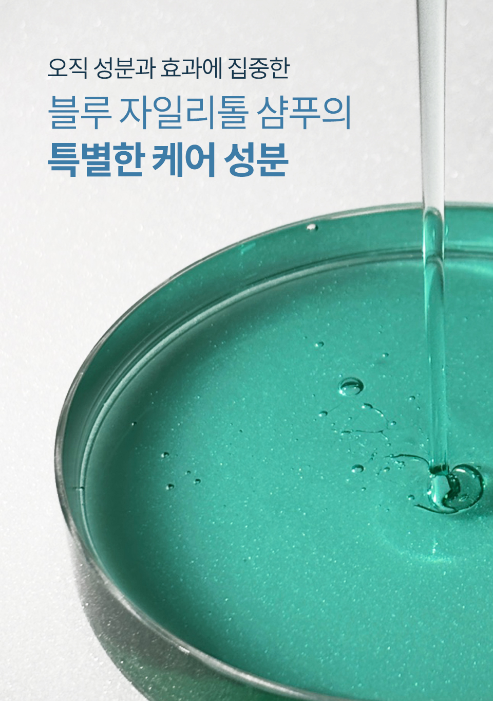 블루-자일리톨-상세_10.jpg