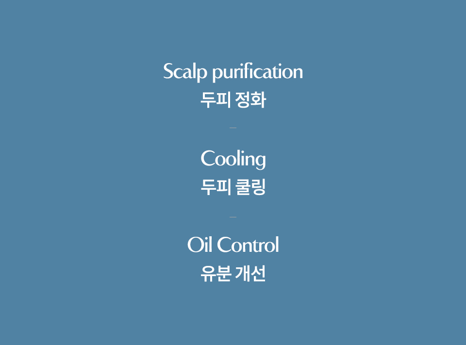블루-자일리톨-상세_03.jpg
