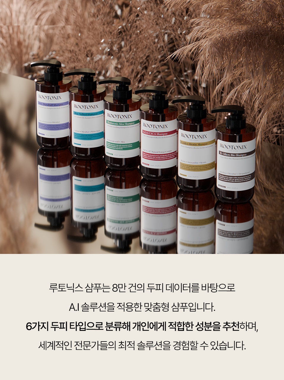 블루-자일리톨-상세_18.jpg