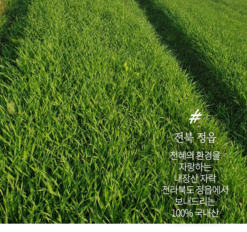 haewadal_yusaekbori_08.jpg