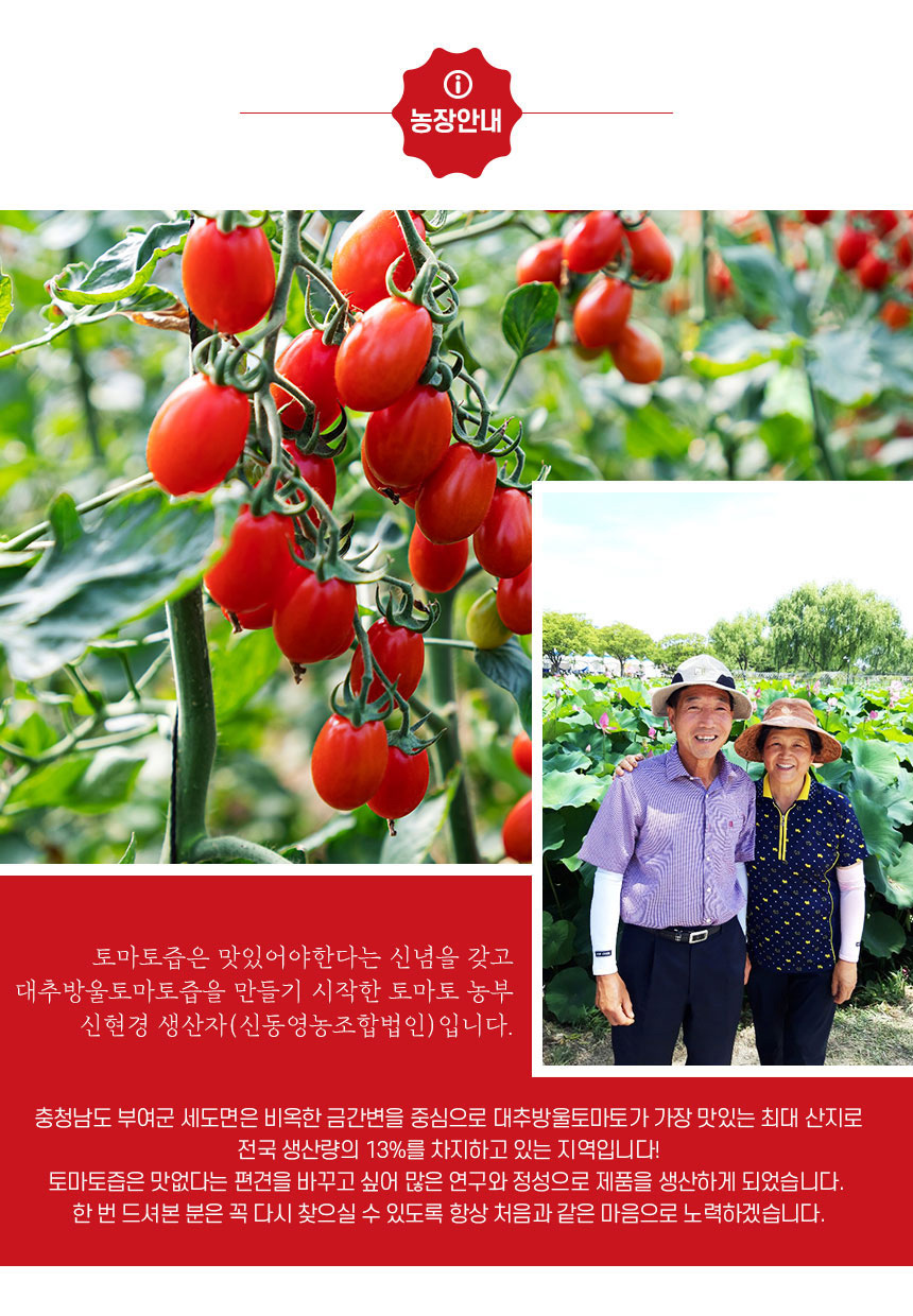 sindong_tomatojeup_09.jpg