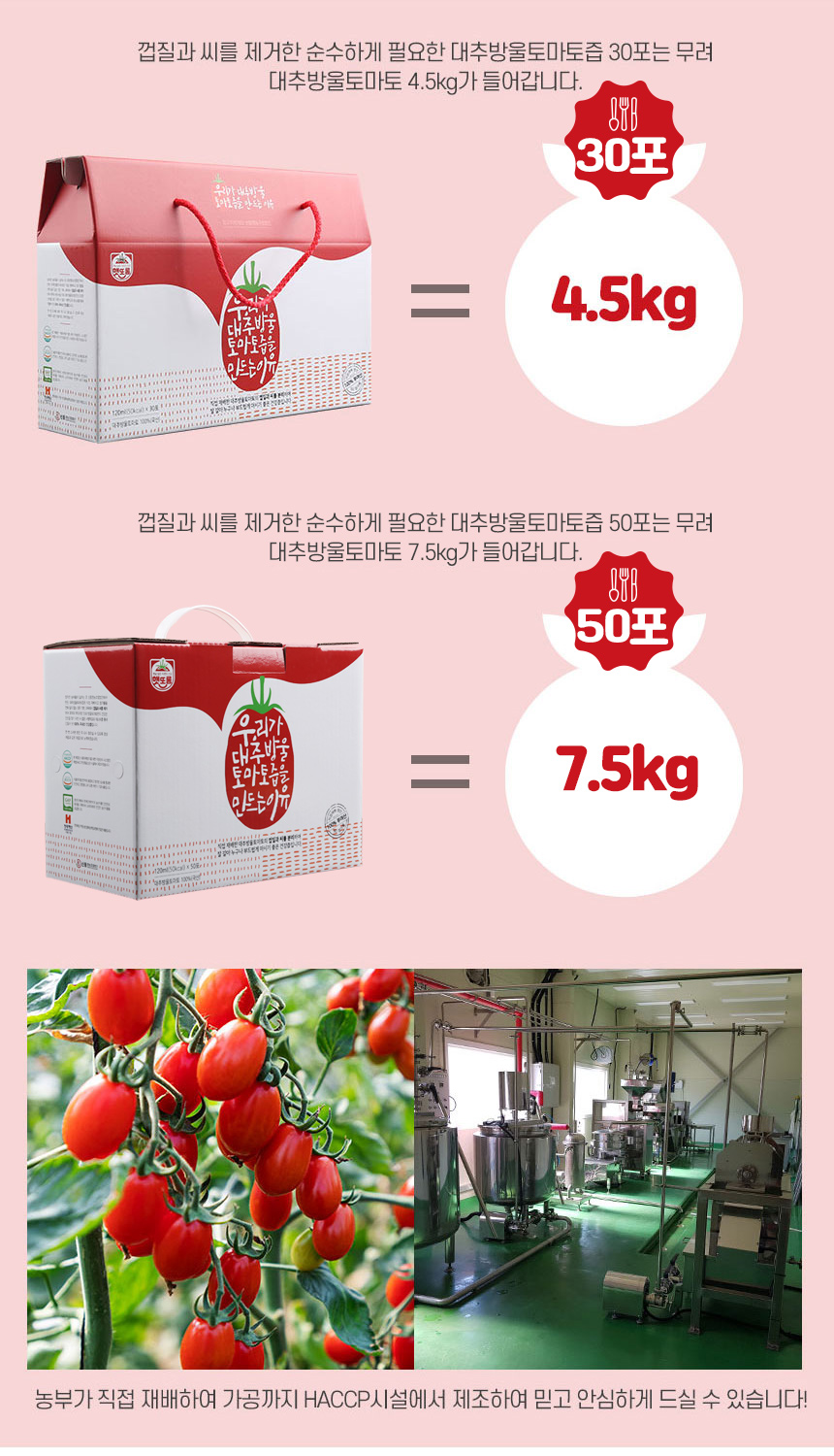 sindong_tomatojeup_06.jpg