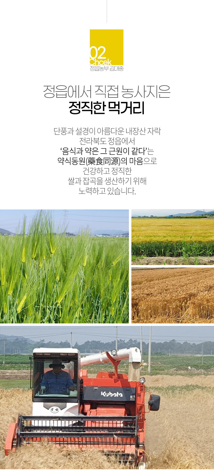 haewadal_yusaekbori_06.jpg