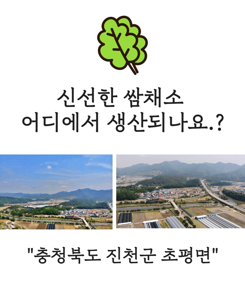 4.gif