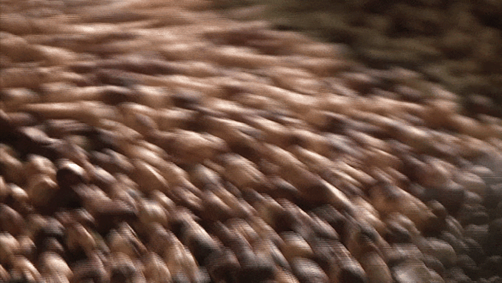 18. 로스팅.gif
