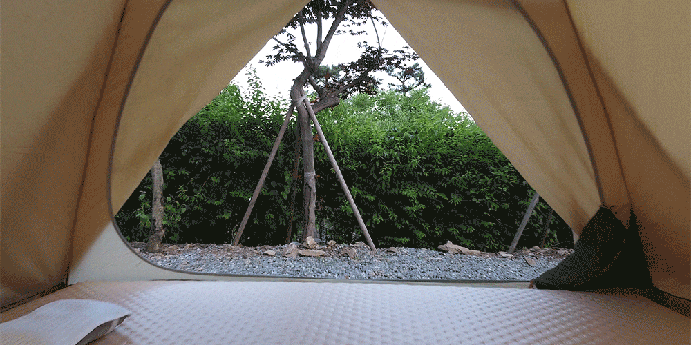 w3_04.gif