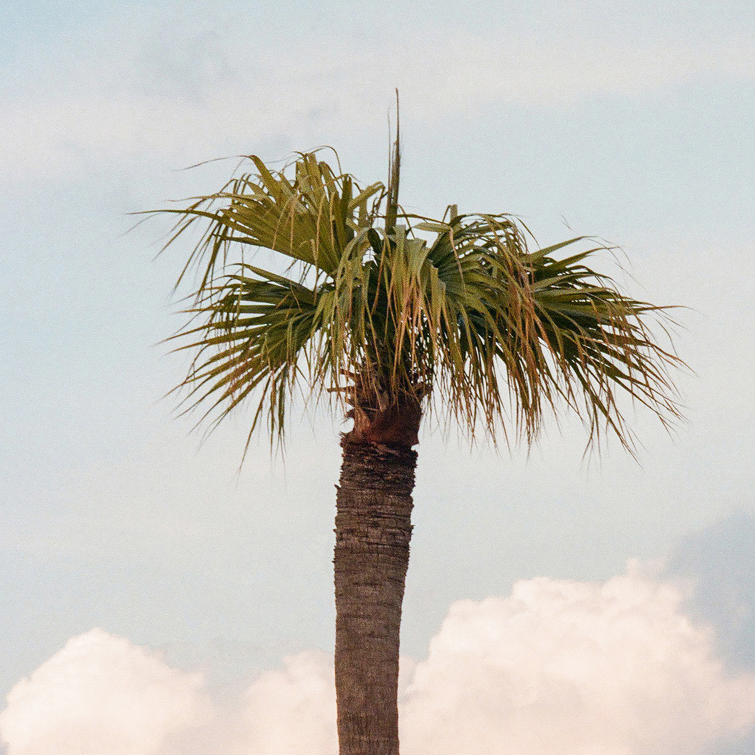 전하윤 (iamhay)