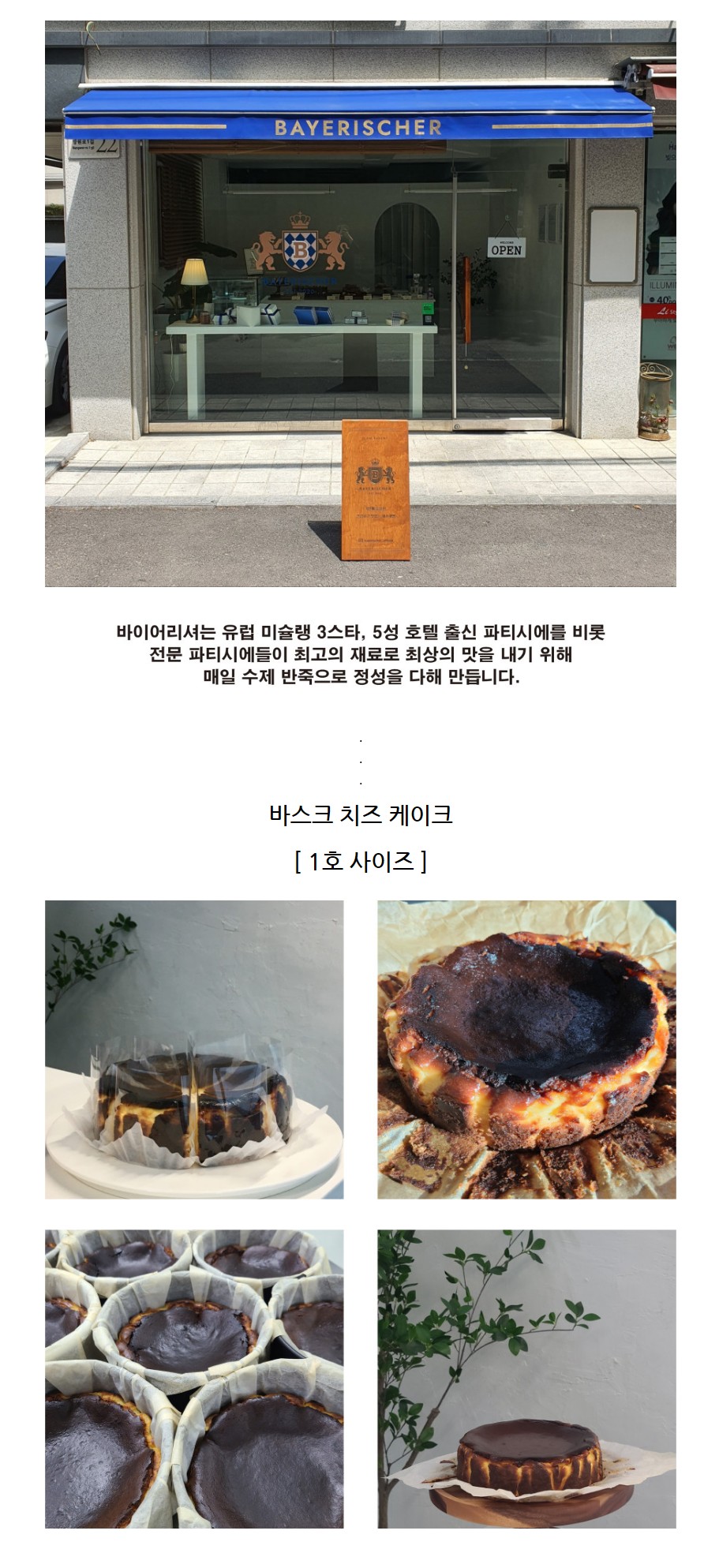 바치케 1.JPG