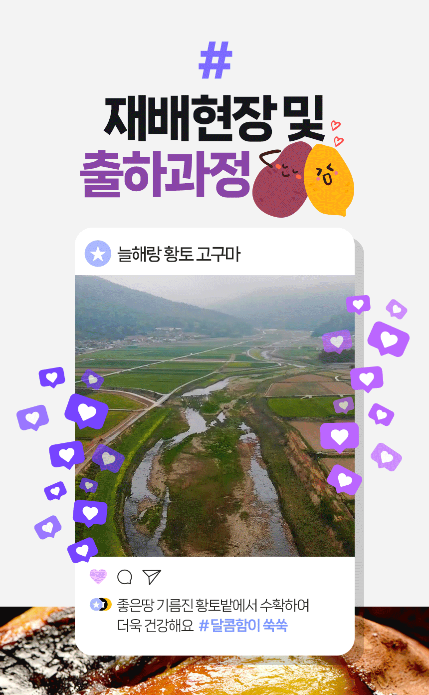 KakaoTalk_20231030_132053473_18.gif