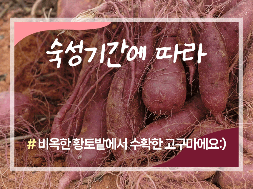 KakaoTalk_20231030_132053473_07.gif