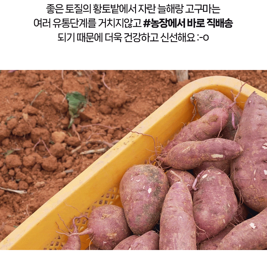 KakaoTalk_20231030_132053473_16.gif
