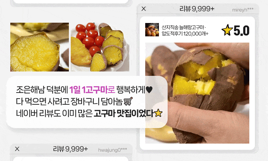 KakaoTalk_20231030_132053473_03.gif