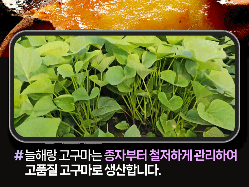 KakaoTalk_20231030_132053473_19.gif