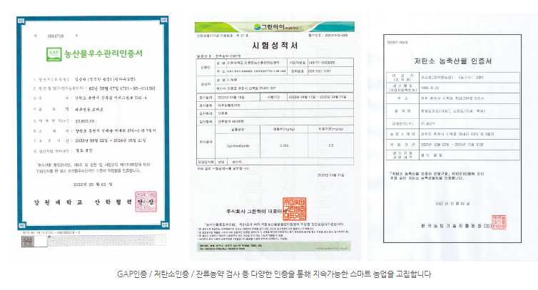 컬러방울토마토3.PNG