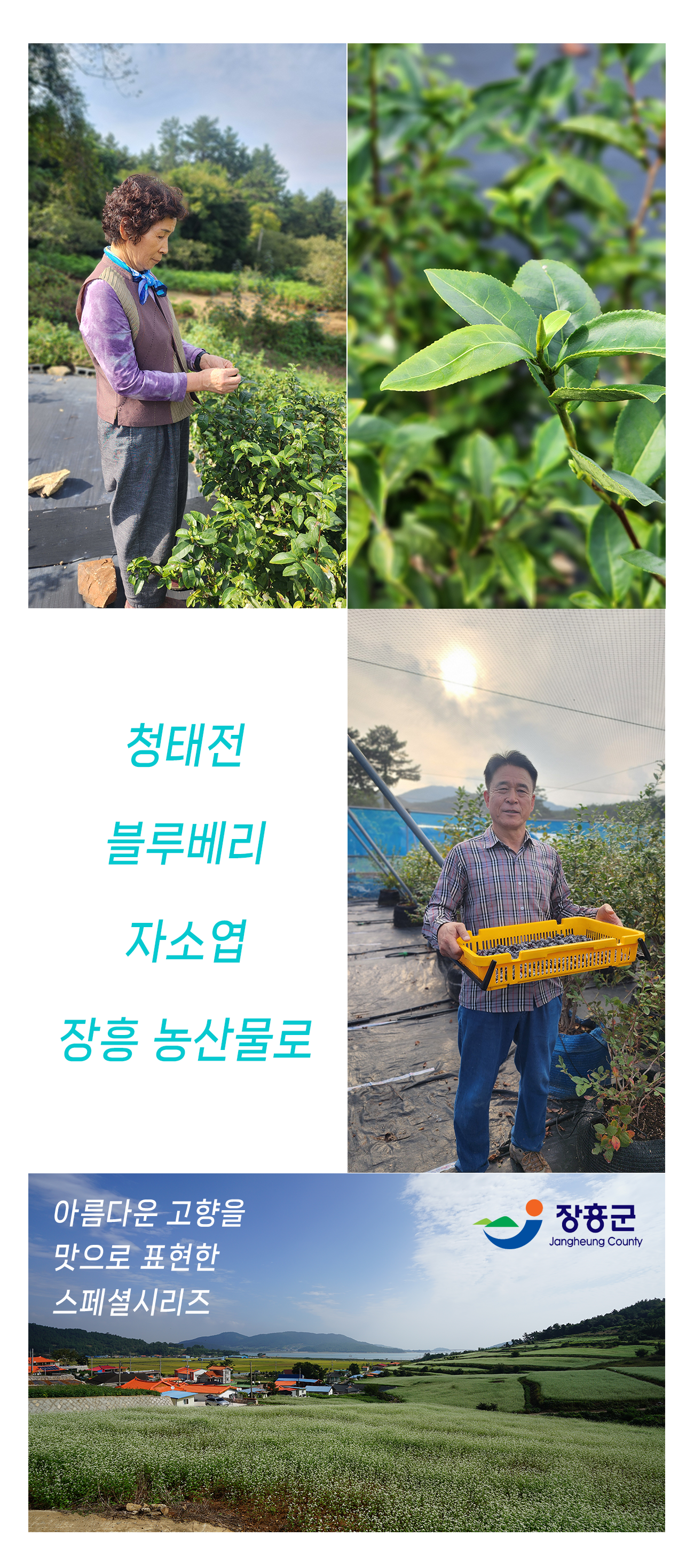 07장흥콜라보2.png