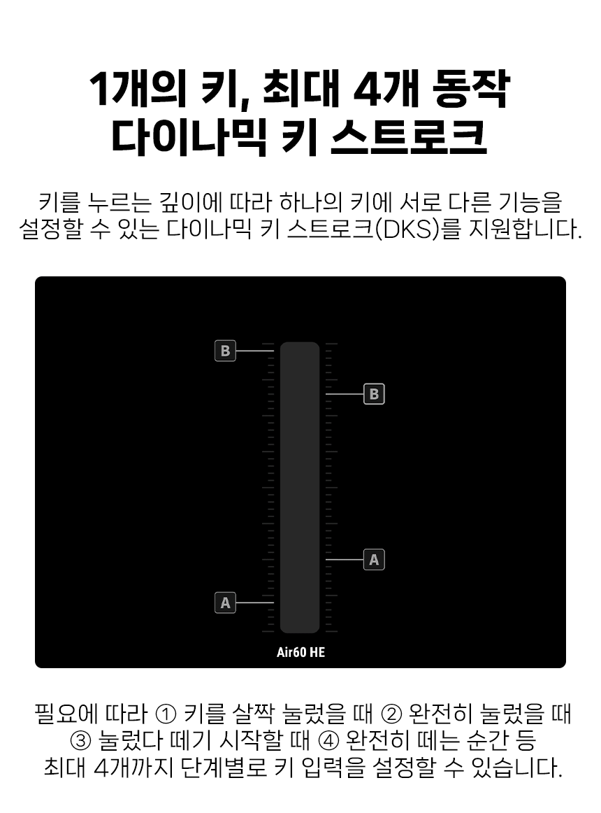 09_DKS.gif