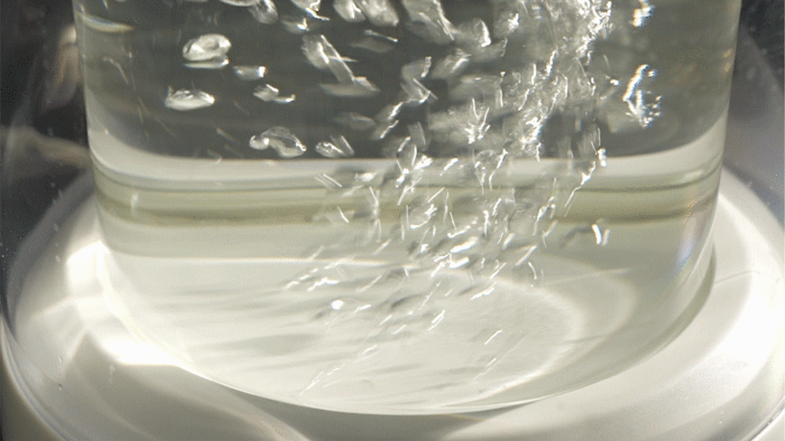 DP_08.gif