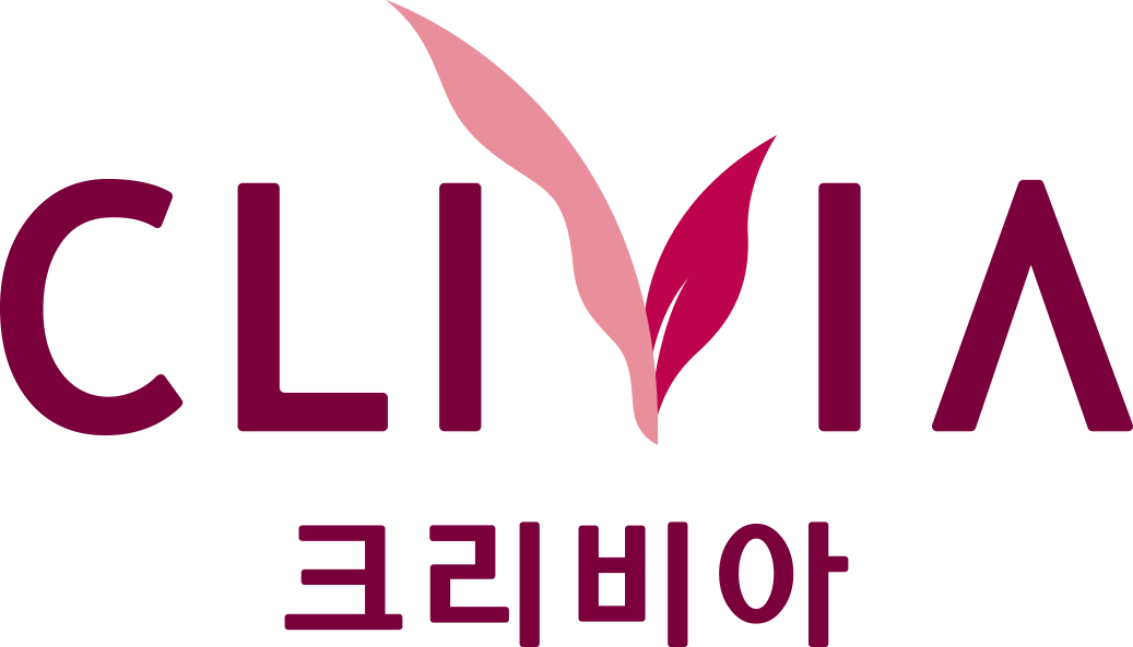 언더웨어,속옷,브라,여성속옷