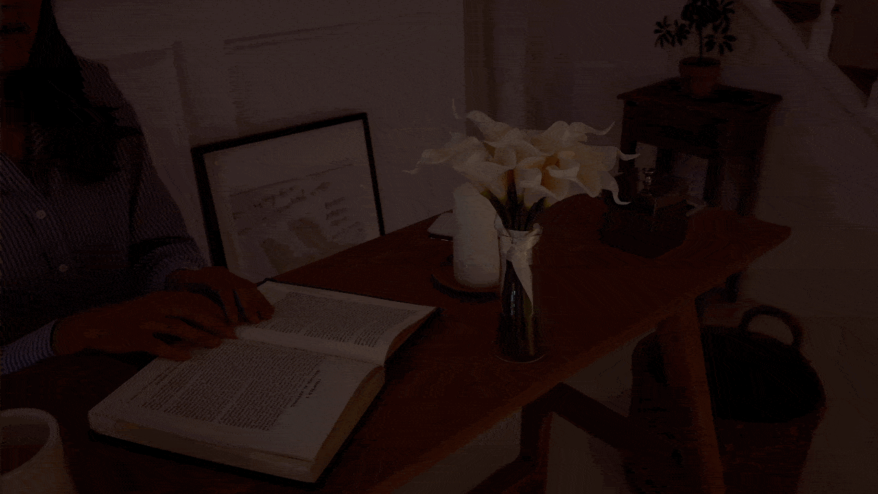 와디즈상세이미지4(gif).gif