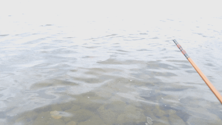 165.gif