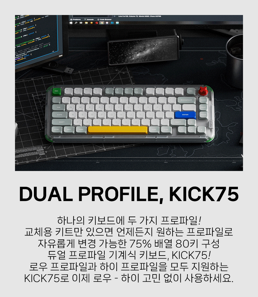 02_소개-듀얼.gif