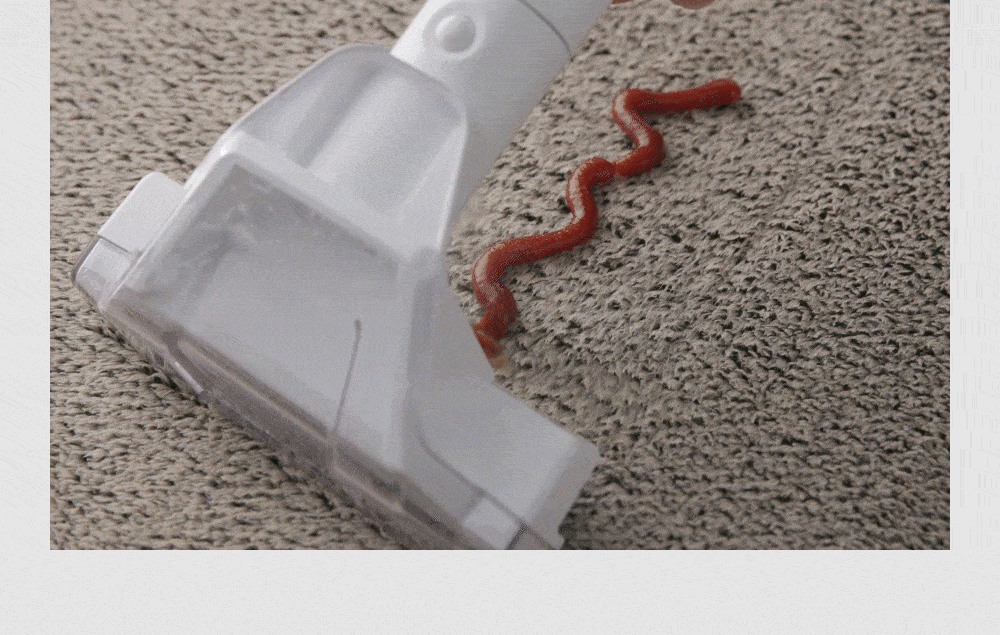 230905_inner-vacuum-cleaner_M1_03.gif