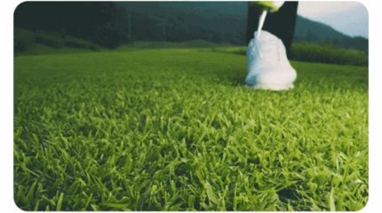 20.gif