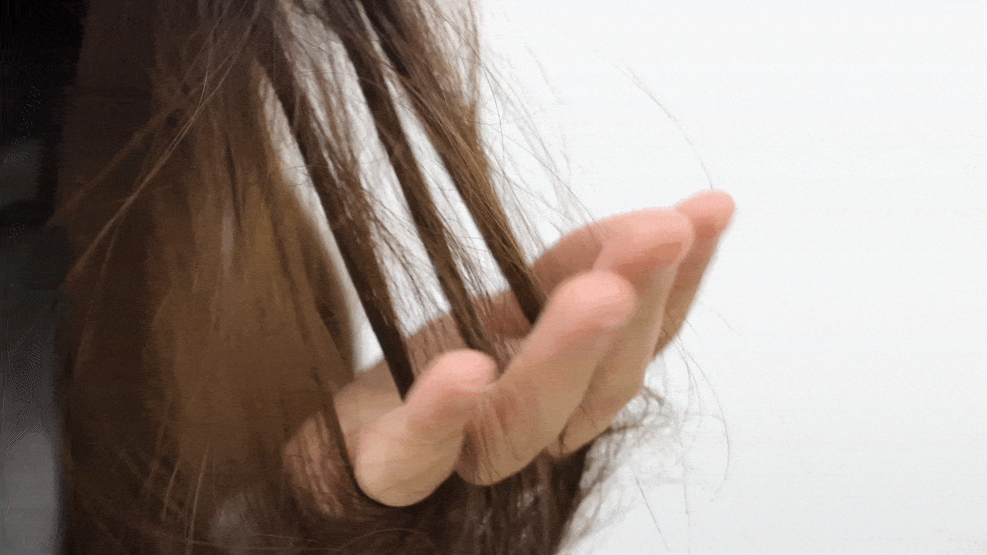 gif2_1-min-ezgif.com-cut.gif