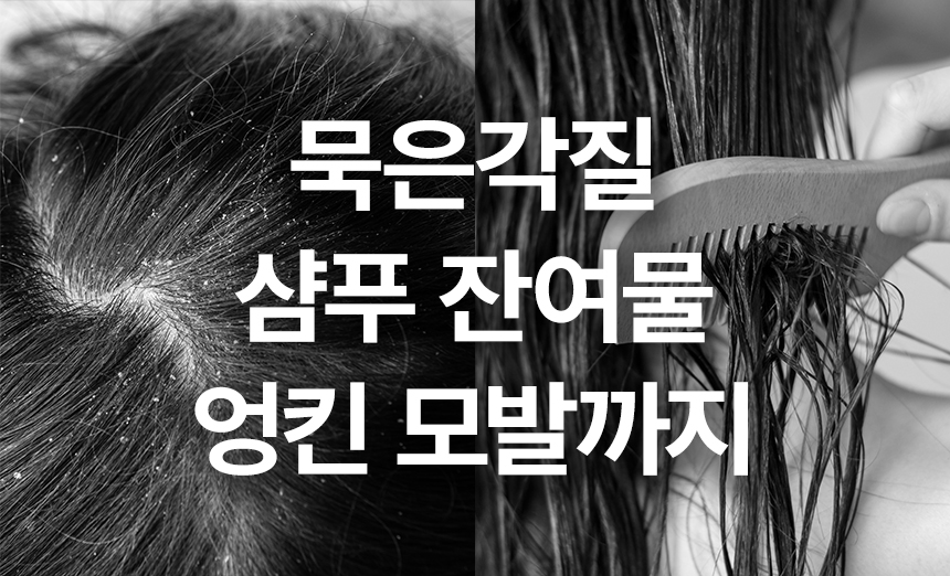 nap_brush00-2.jpg