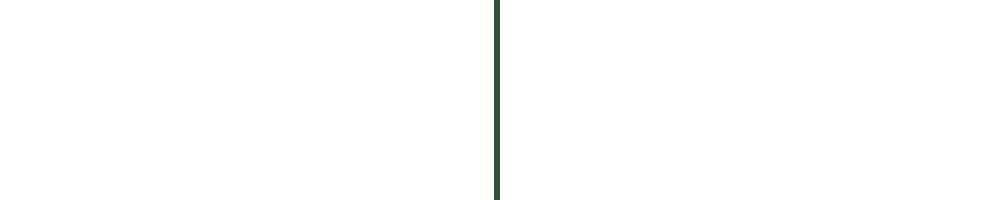 line2.png