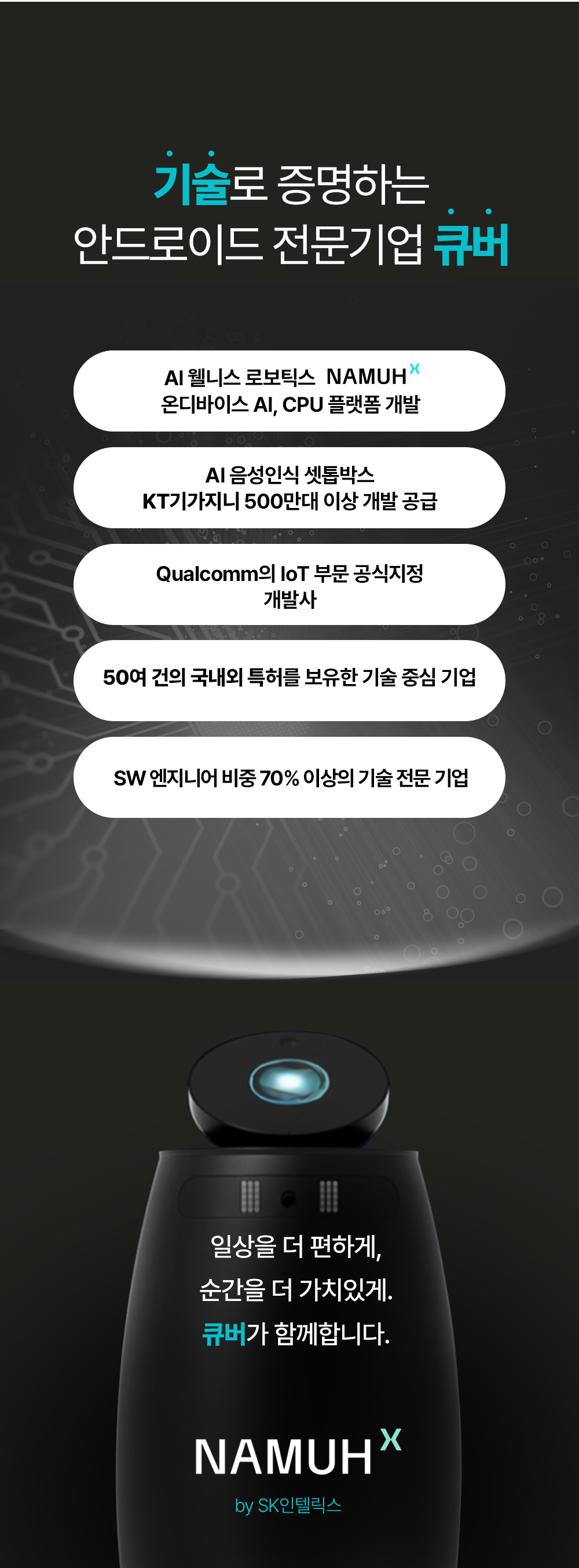 qpadv12_02_12.jpg