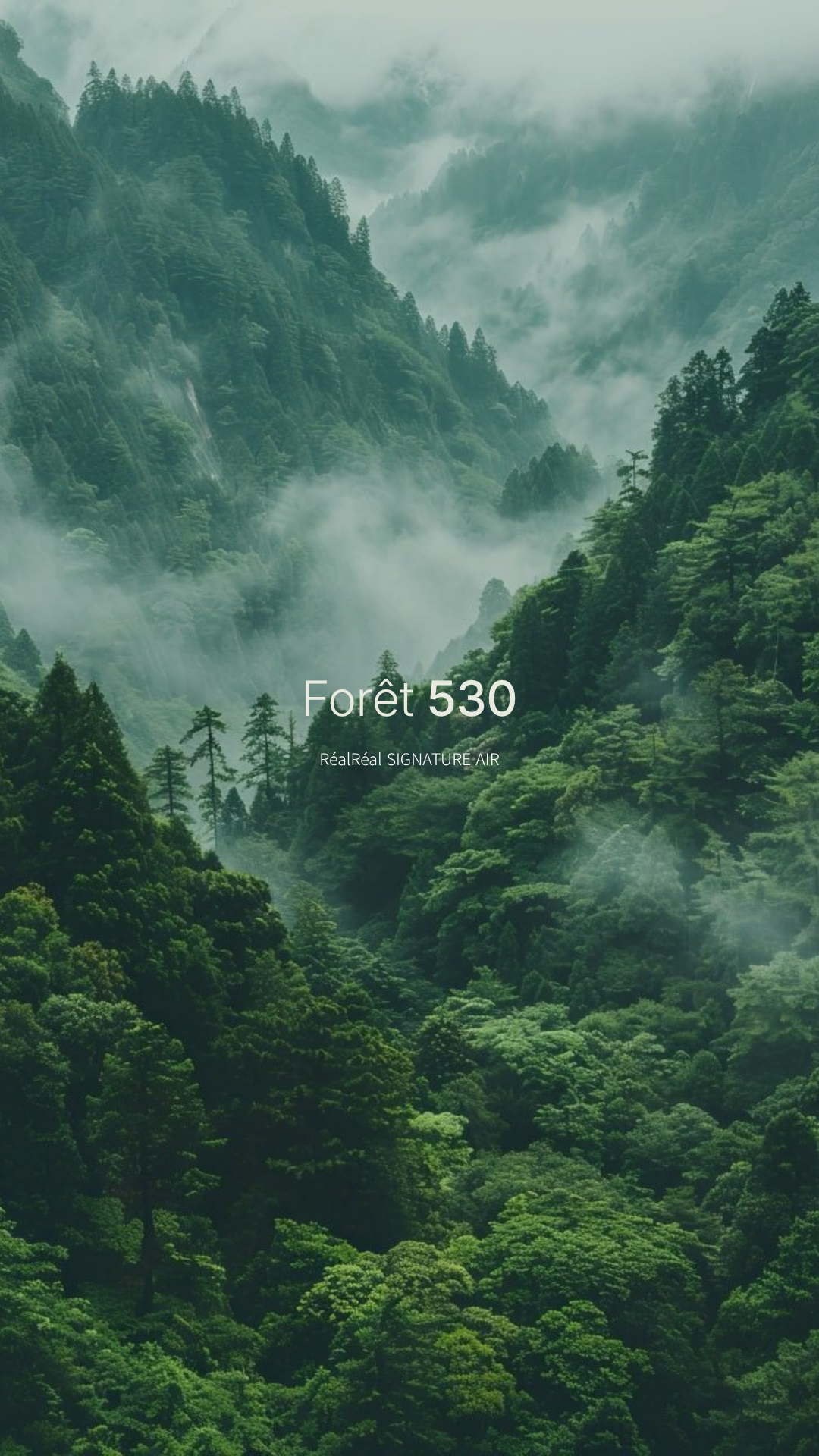 13.png