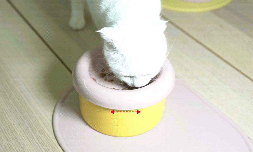 5.gif